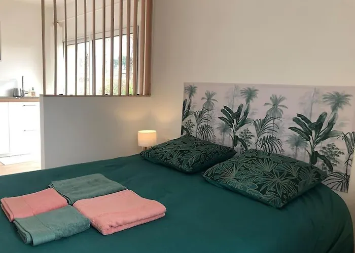 Avec Piscine Appartement