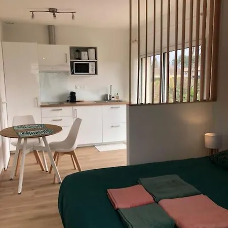 Avec Piscine アパート サン・メダール・アン・ジャル